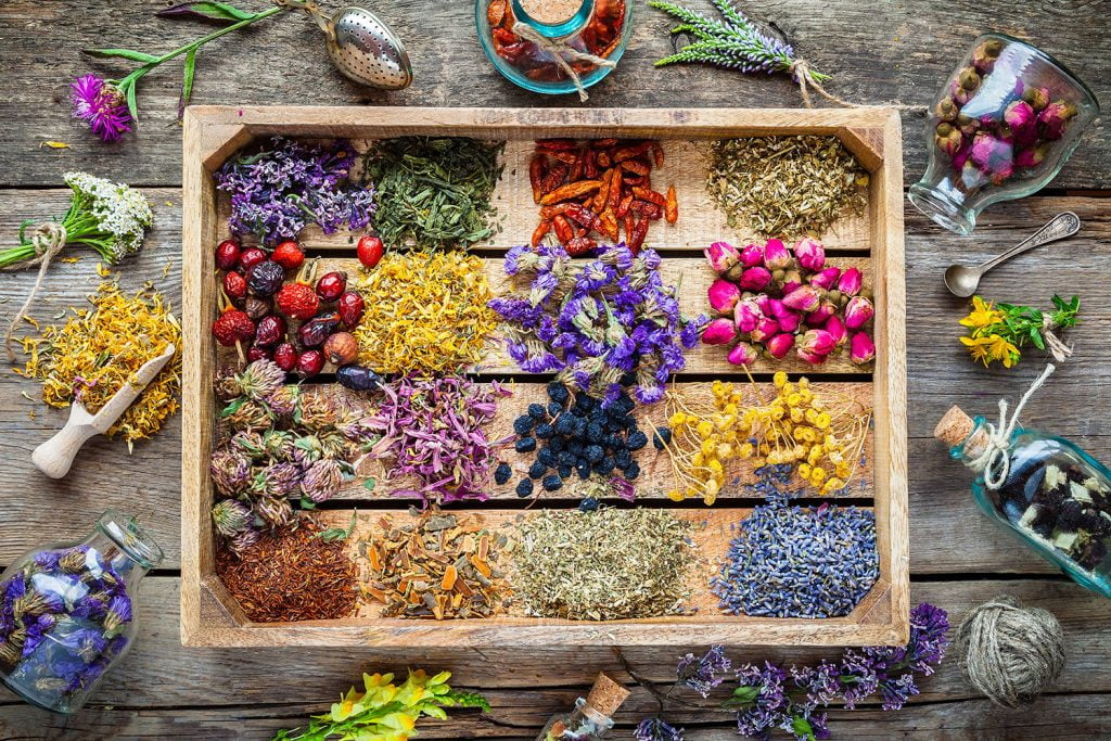 Healing Herbs, The Wonders of Smoking Herbs