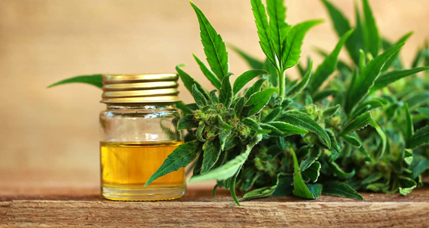 Top 5 CBD Tinctures For Anxiety Disorders in 2022